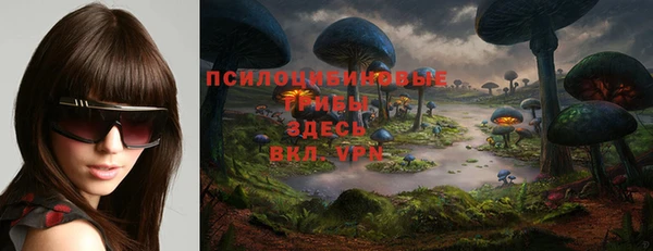 винт Алексеевка
