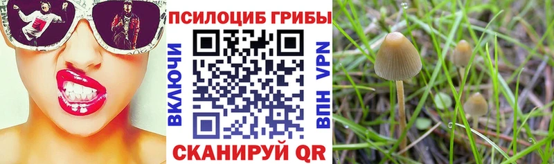 закладки  Ардон  Галлюциногенные грибы мицелий 
